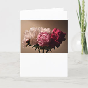 Peony, carte