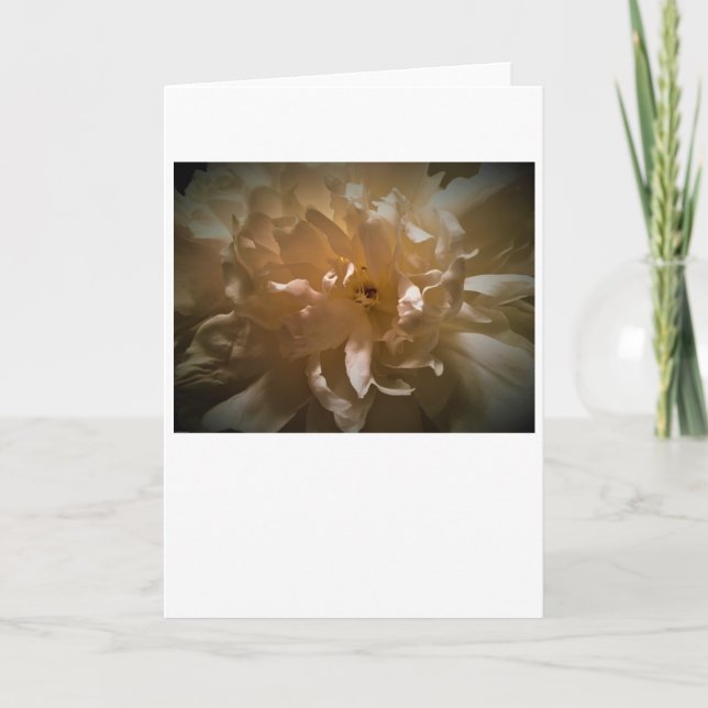 Peony, carte (Devant)
