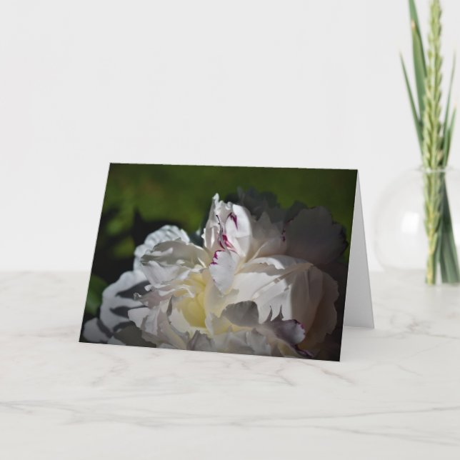 Peony, carte (Devant)