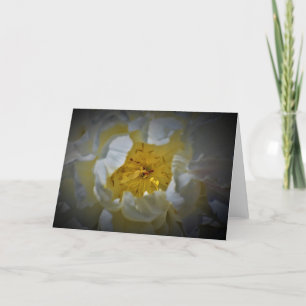 Peony, carte