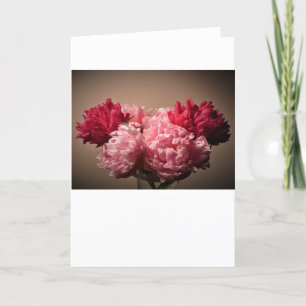 Peony, carte