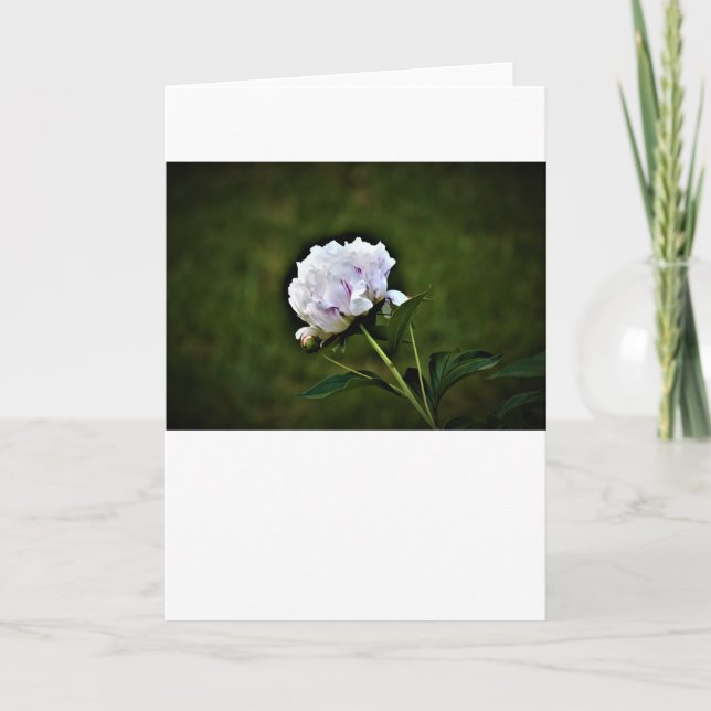 Peony, carte (Devant)