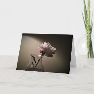 Peony, carte