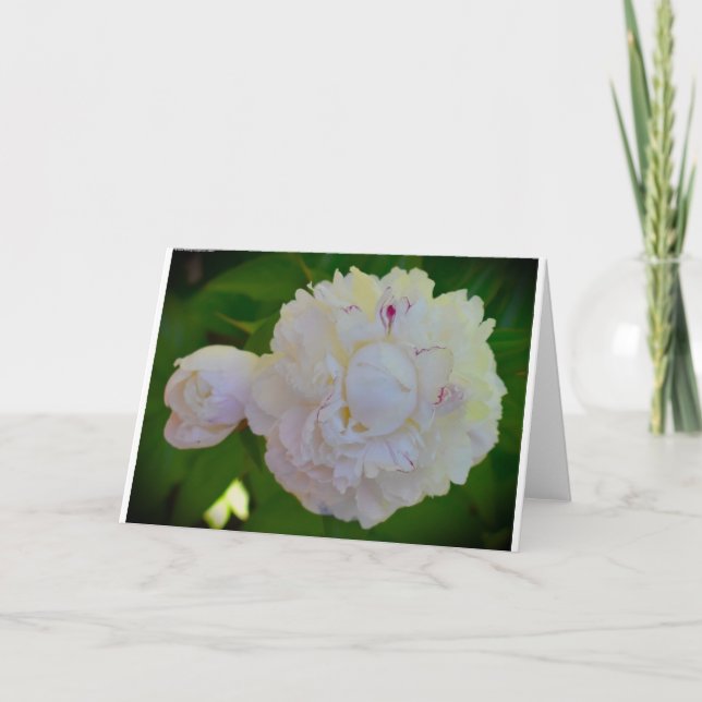 Peony, carte (Devant)