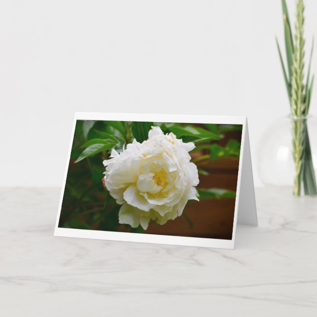 Peony, carte (Devant)