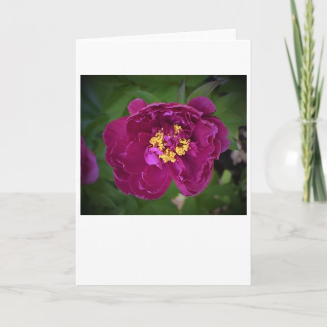 Peony, carte (Devant)