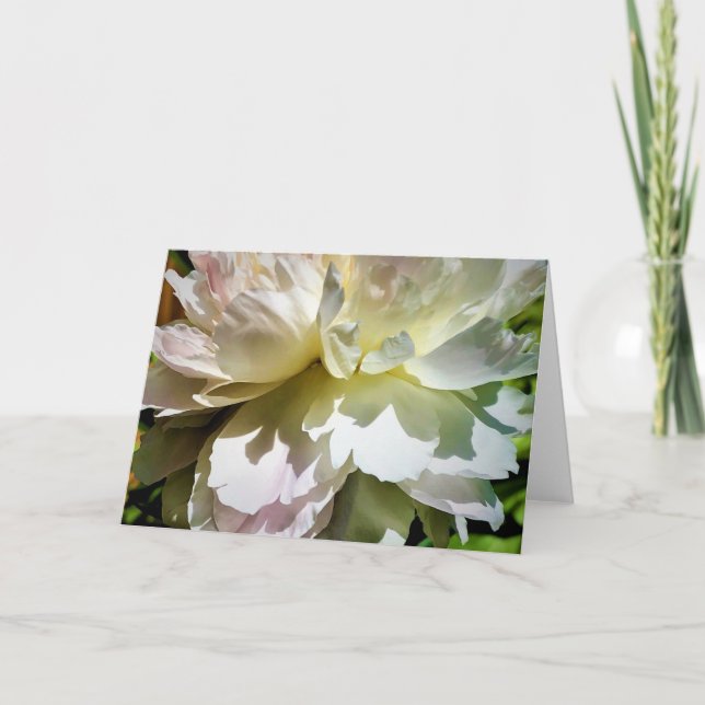 Peony, carte (Devant)