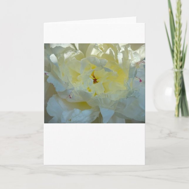 Peony, carte (Devant)