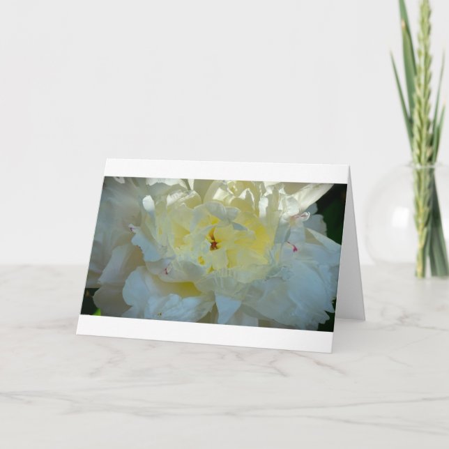 Peony, carte (Devant)