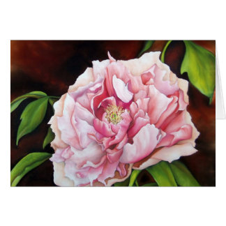 Peony Dans Le Jardin