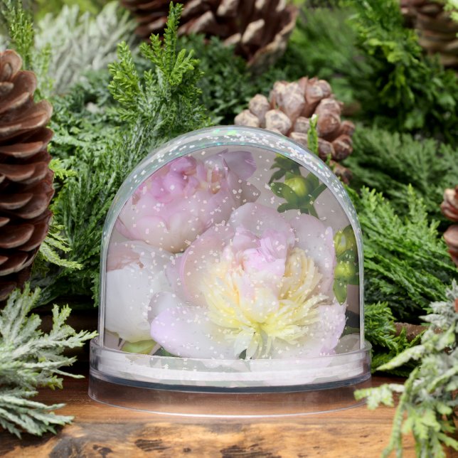 PEONY SNOWGLOBE (Hiver)