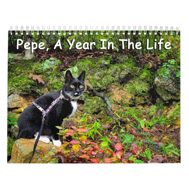 Pepe, Une Année Dans Le Calendrier De Vie (Protection)