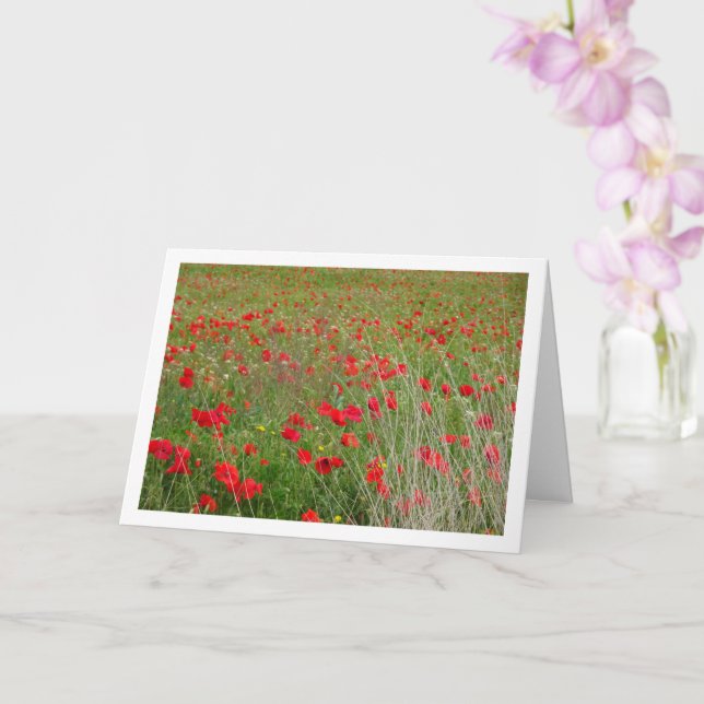 Pépites dans la carte de paysage de terrain (Orchidée)