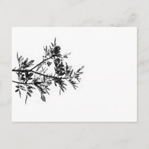 Pepper Tree Flowers Feuille Nature Carte postale