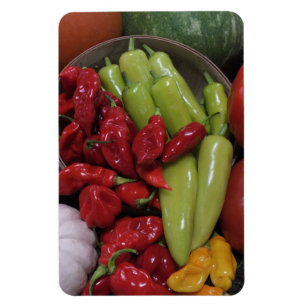 Peppers N Magnet Légume