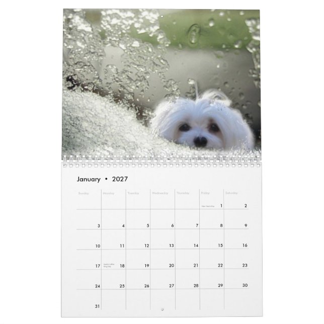 Perce-neige le calendrier maltais (Jan 2027)