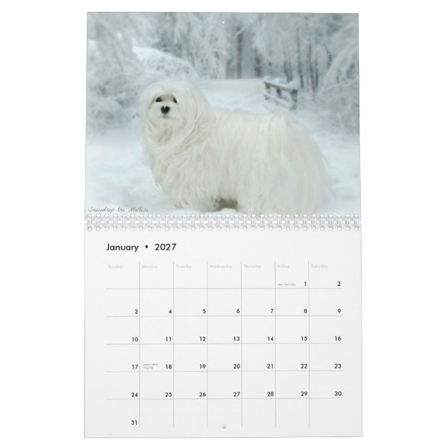 Perce-neige le calendrier maltais (Jan 2027)