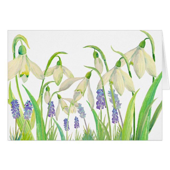 Perce-neiges et Muscari d'aquarelle (Devant horizontal)