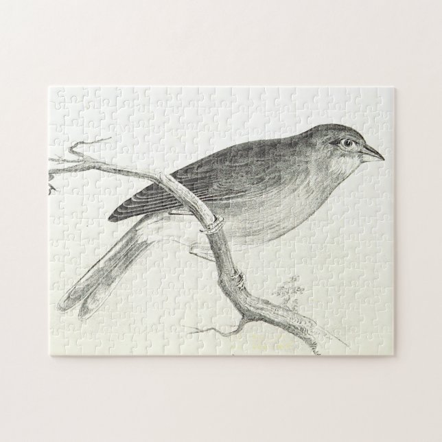 Perchage d'oiseaux sur un puzzle de branche (Horizontal)