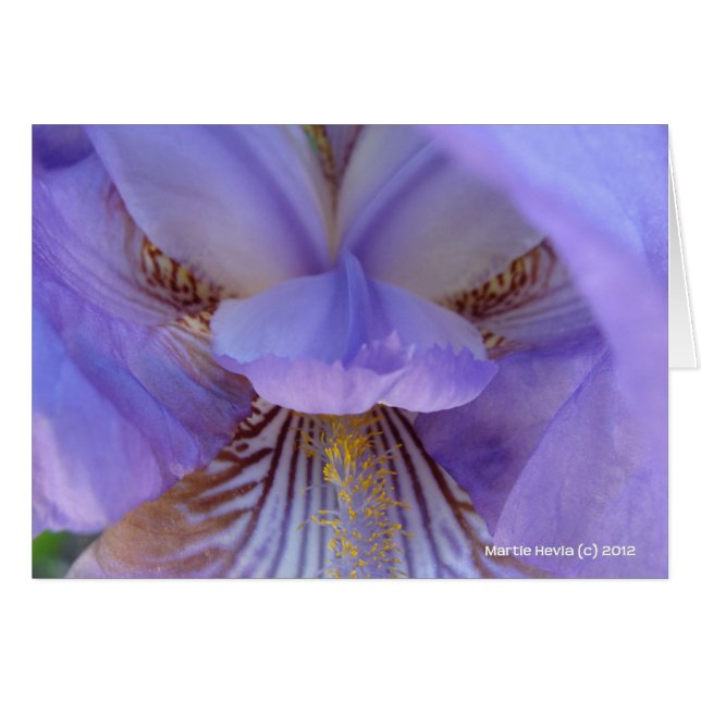 Perdu dans un rêve (Devant Horizontal)