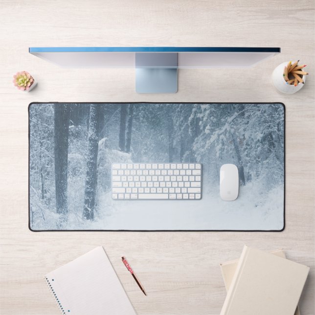 Perdu dans une forêt magique (Bureau 1)