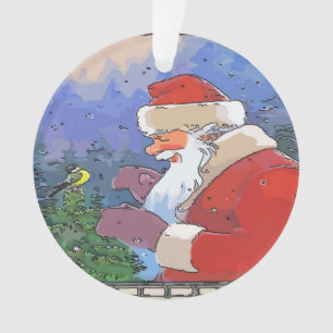 Père Noël Avec Oiseau
