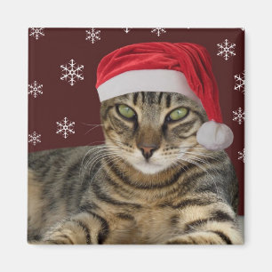 Père Noël Cat Magnet