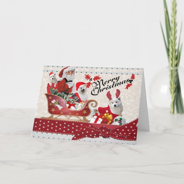 Père Noël et cartes de Joyeux Noël d'aides de (Devant)