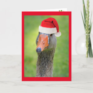 Père Noël Goose Funny Carte de Noël