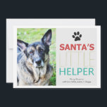 Père Noël Helper - Pet Photo Vacances Cartes Plat<br><div class="desc">Ils sont festifs et parfaits pour cette période de vacances !</div>