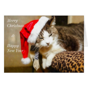 Père Noël Kitty