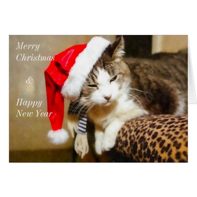 Père Noël Kitty (Devant Horizontal)
