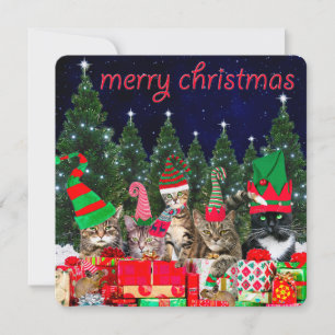 "Père Noël Little Mousers" - Cat Christmas Card