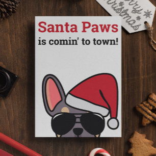 Père Noël Paks - Carte de Chien à Balles de Noël L