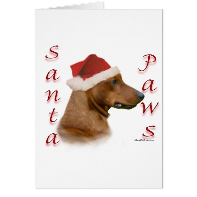 Père Noël Paws (Devant)