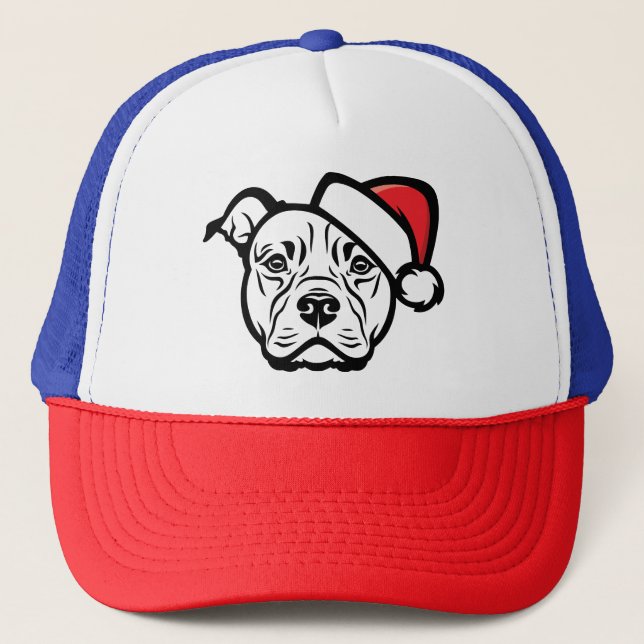 Père Noël Paws : AmStaff Dog in Festive Casquette (Devant)