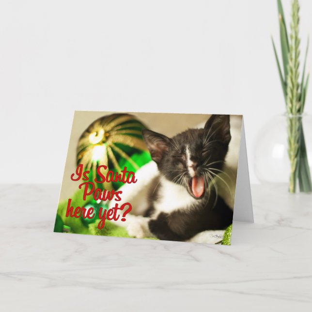 Père Noël Paws Est-Il Encore Là ? Carte (Devant)