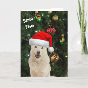 Père Noël Paws - La Carte de voeux Happy Husky