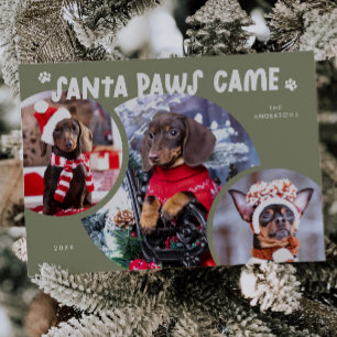 Père Noël Paws Sage Green Chien Photo Carte de vac