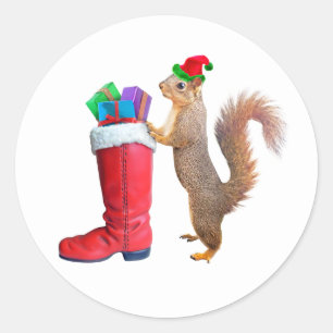 Père Noël Squirel avec Stickers Boot Rouge