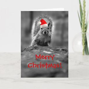 père Noël Squirrel Joyeuse Carte de Noël