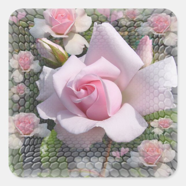 Perfection rose ~ Sticker / Enveloppe Sealer Class (Devant)