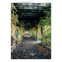 Pergola d'automne
