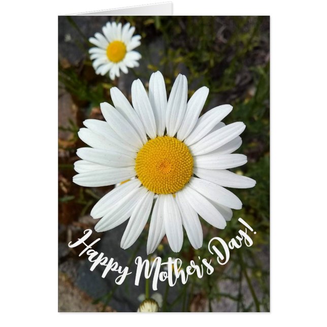 Perky White Daisy Flower Carte de la fête des mère (Devant)