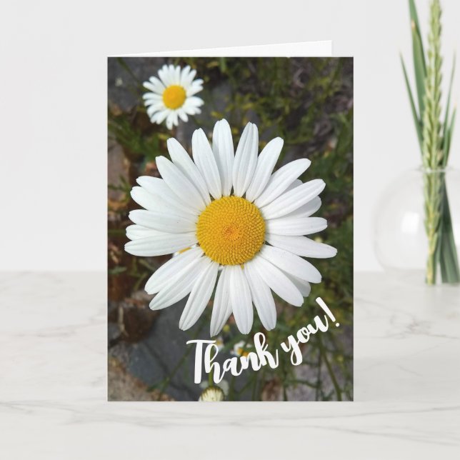 Perky White Daisy Flower Carte de remerciements (Devant)