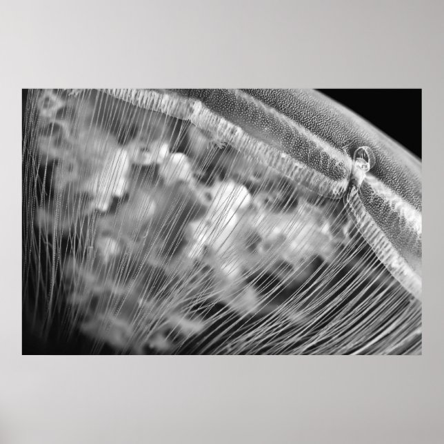 Perles de lune - Poster (Devant)