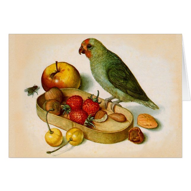 Perroquet à la pomme de terre avec fruits et noix (Devant horizontal)