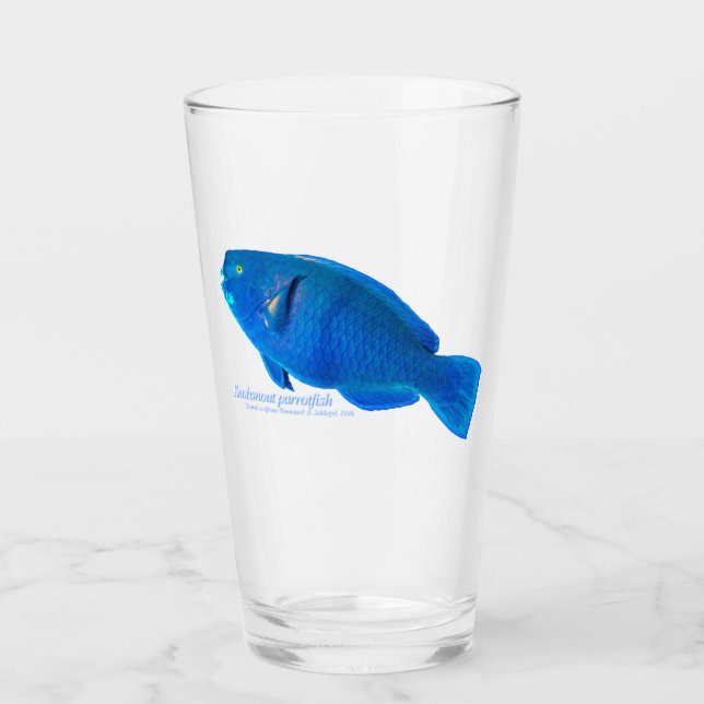 Perroquet à museau en bosse Coupe en verre (Devant)
