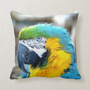 Perroquet coloré - coussin