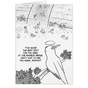 Perroquet de cockatiel de pont en arc-en-ciel